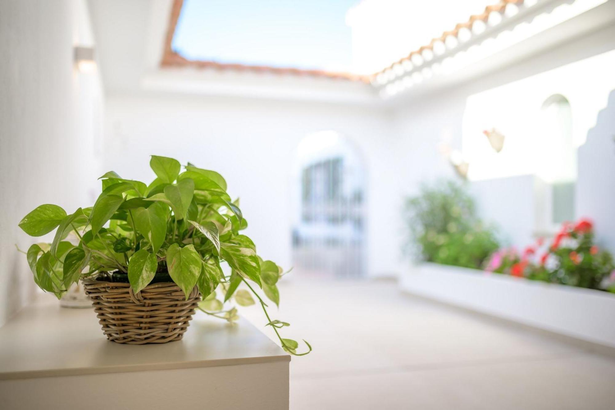 Villa Ponti A5 Direkt Am Meer Santo Tomás Esterno foto